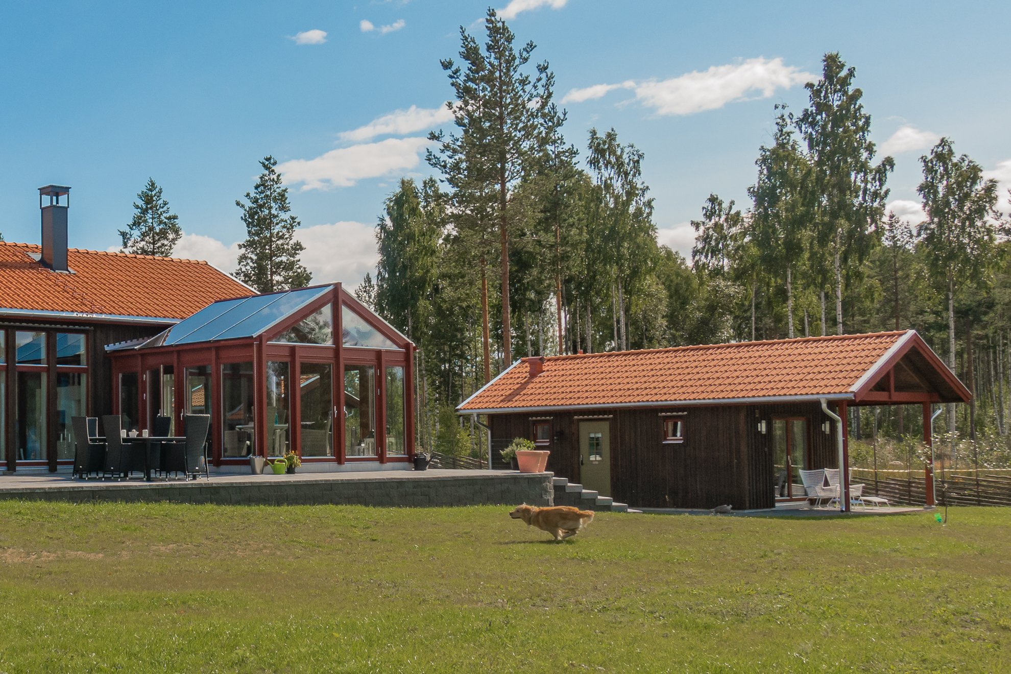 NRDQ-INS-HUS-VIK-D1d